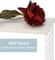 Wood & Metal Wall Mounted Bathroom Towel Rack with 6 Hooks